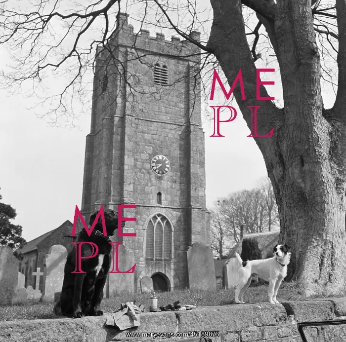 : St Michaels Church : St Michaels Church