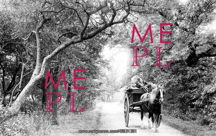  : St Neots, Mill Lane 1897
