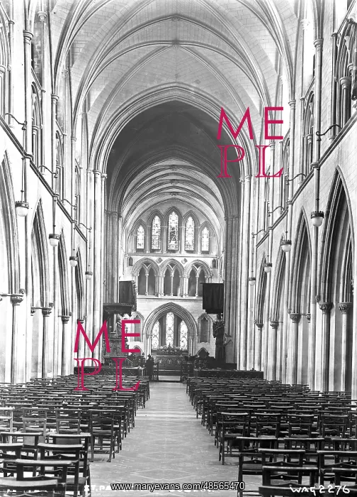 : St. Patrick's, Dublin : St. Patrick's, Dublin