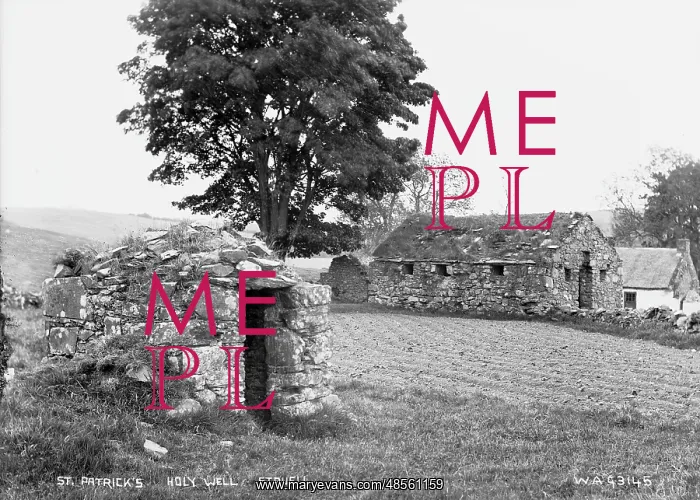  : St. Patrick's Holy Well, Struell