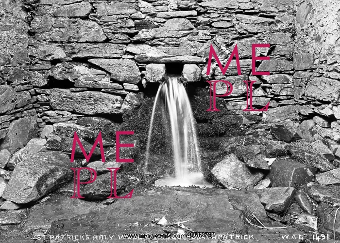 : St. Patrick's Holy Well, Struell, Downpatrick : St. Patrick's Holy Well, Struell, Downpatrick