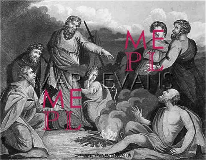 : St Paul and the viper : St Paul and the viper
