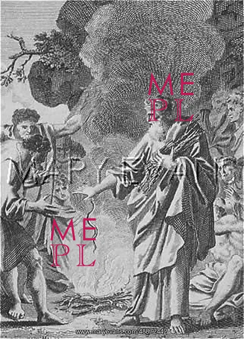 : St Paul and the viper : St Paul and the viper