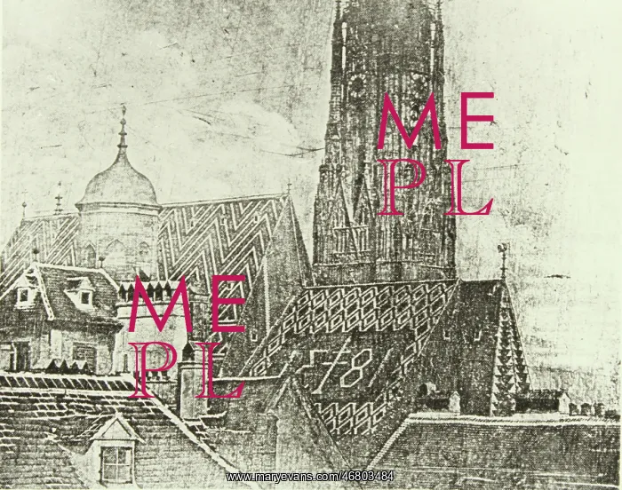 : St. Stephan's cathedral about 1840 : St. Stephan's cathedral about 1840
