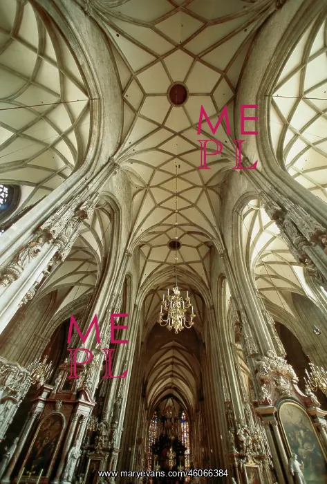 : St. Stephans Cathedral : St. Stephans Cathedral
