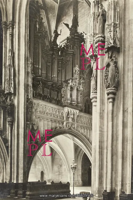 : St. Stephan's Cathedral : St. Stephan's Cathedral