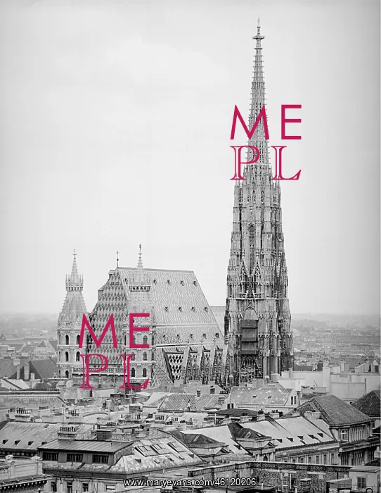 : St. Stephen's Cathedral in Vienna : St. Stephen's Cathedral in Vienna