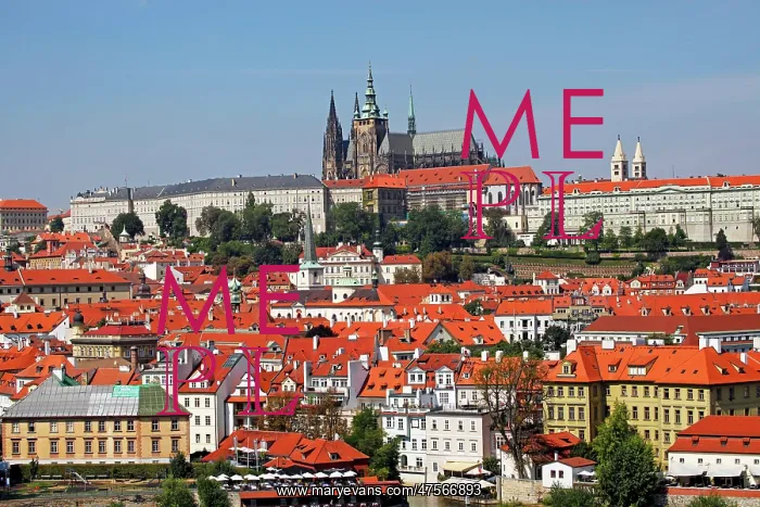  : St. Vitus Cathedral, Prague