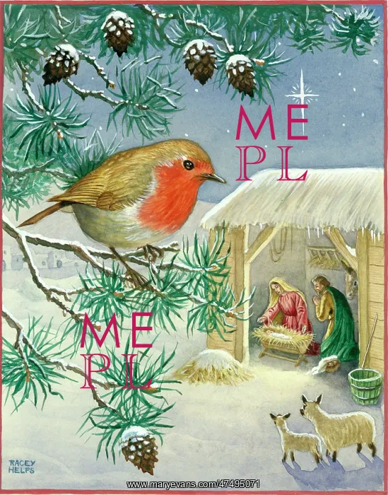 : The Stable - Nativity scene with robin : The Stable - Nativity scene with robin