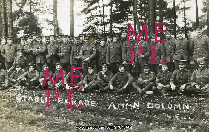 : Stable Parade Ammunition Column, WW1 : Stable Parade Ammunition Column, WW1