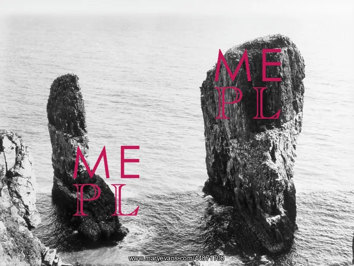 : THE STACK ROCKS : THE STACK ROCKS