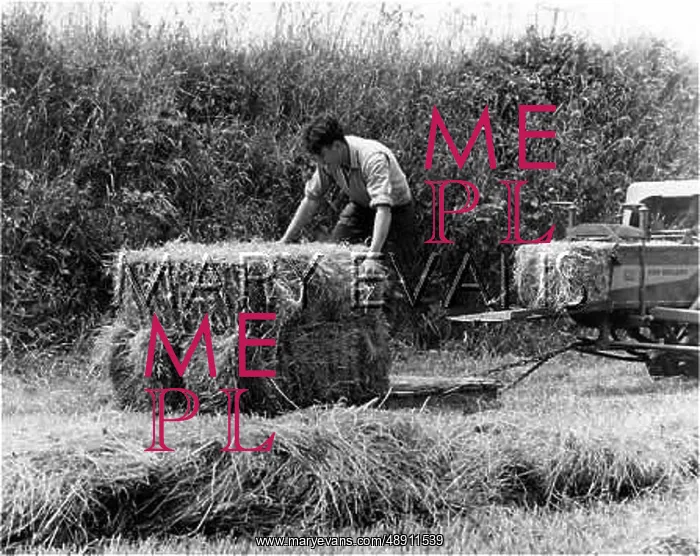 : STACKING HAY BALES