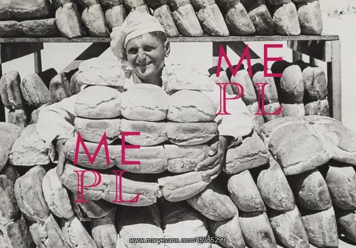 : Stacks of newly-baked loaves ready for British : Stacks of newly-baked loaves ready for British