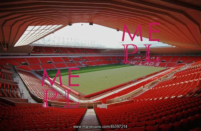: Stadium of Light, Millenium Way, Sunderland : Stadium of Light, Millenium Way, Sunderland