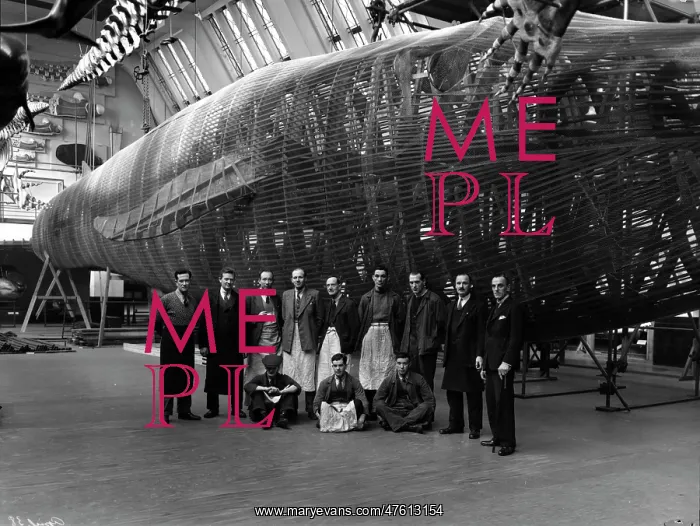 : Staff posing with blue whale model, 1938 : Staff posing with blue whale model, 1938