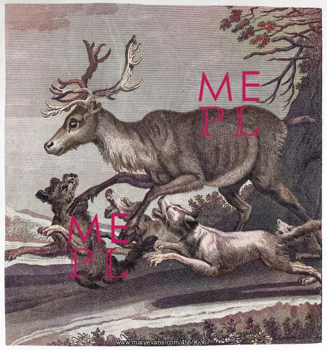  : STAG AND HOUNDS