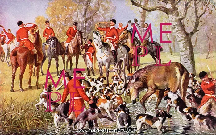  : Stag Hunt