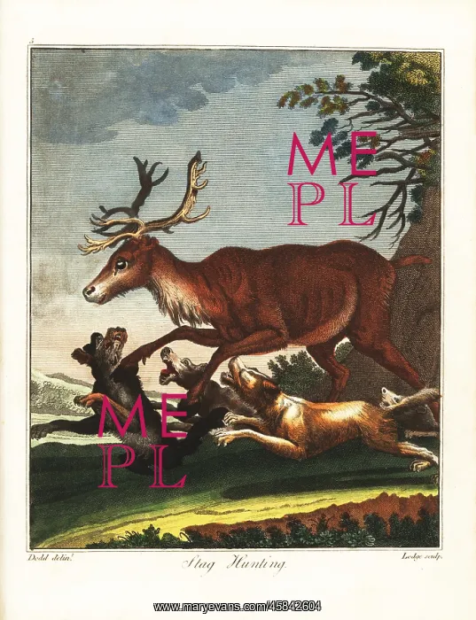 : Stag hunting, 18th century : Stag hunting, 18th century