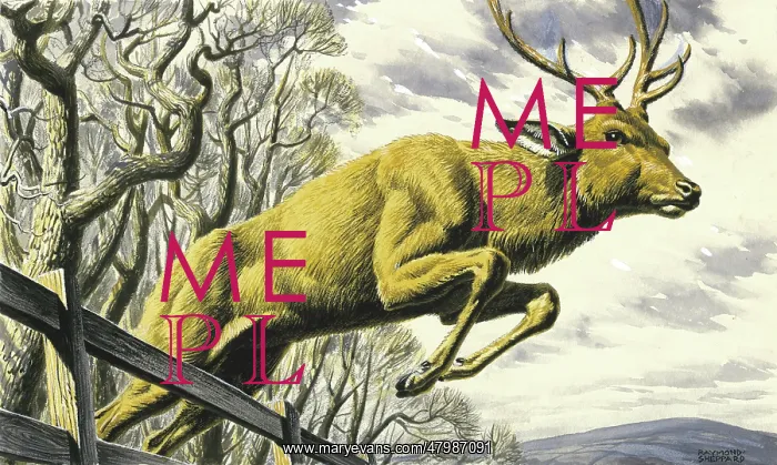 : Stag leaping : Stag leaping
