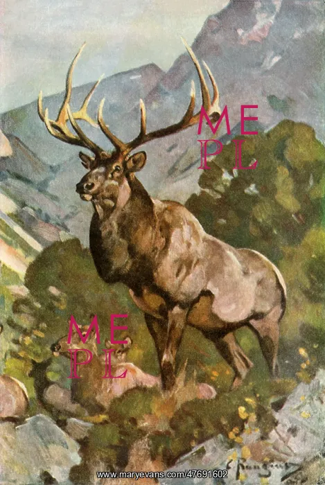  : Stag in Mountains