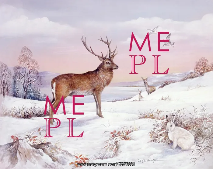  : Stag, Red Deer and Mountain Hare
