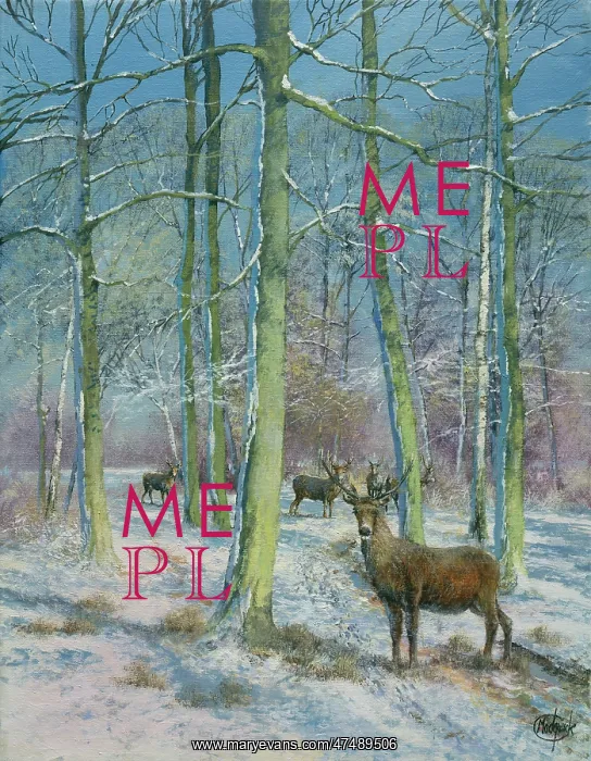  : Stag in the Snow