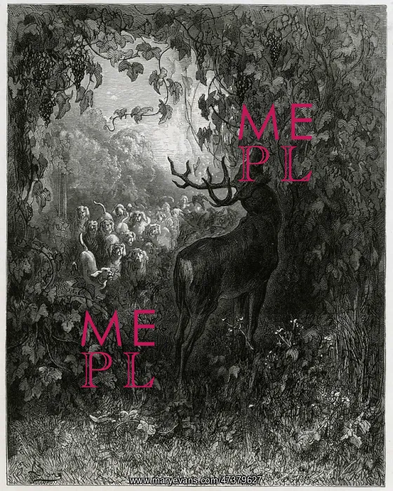 : The Stag and the Vine : The Stag and the Vine