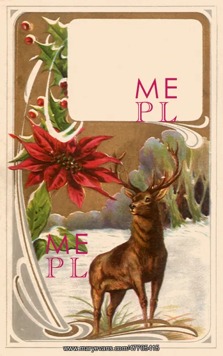 : Stag in Wilderness : Stag in Wilderness