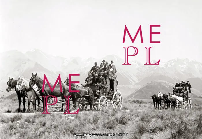 : Stage-coaches pulled by five-horse teams, c.1890's : Stage-coaches pulled by five-horse teams, c.1890's