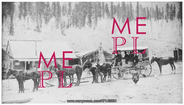  : Stagecoach in frontier town, USA