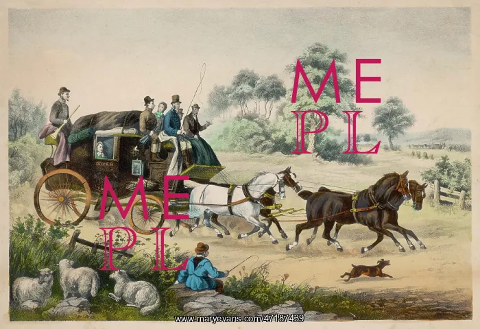  : Stagecoach - Shepherd Boy