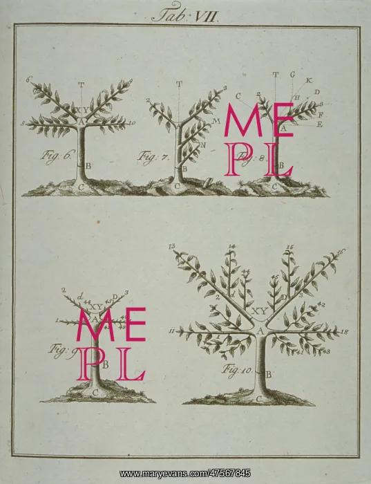 : Stages in Pruning - 2 : Stages in Pruning - 2