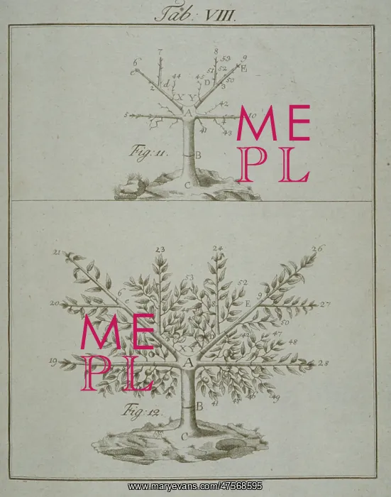 : Stages in Pruning - 3 : Stages in Pruning - 3