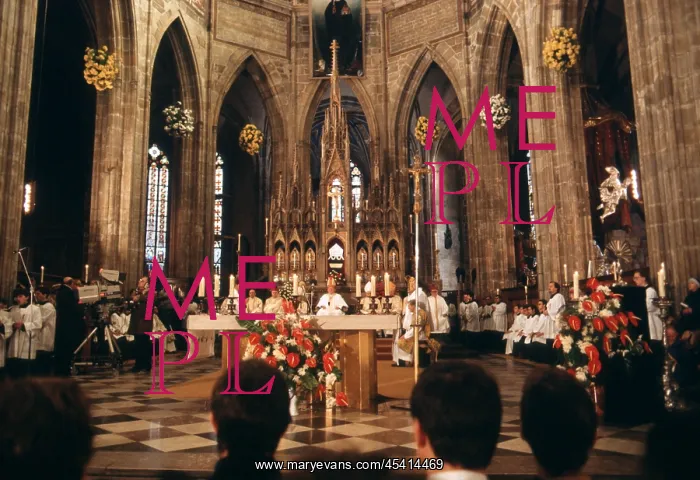 : St.Agnes of Bohemia - canonization - mass - celebration : St.Agnes of Bohemia - canonization - mass - celebration