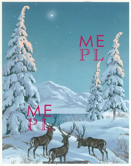 : Stags in snow beside fir trees and lake : Stags in snow beside fir trees and lake