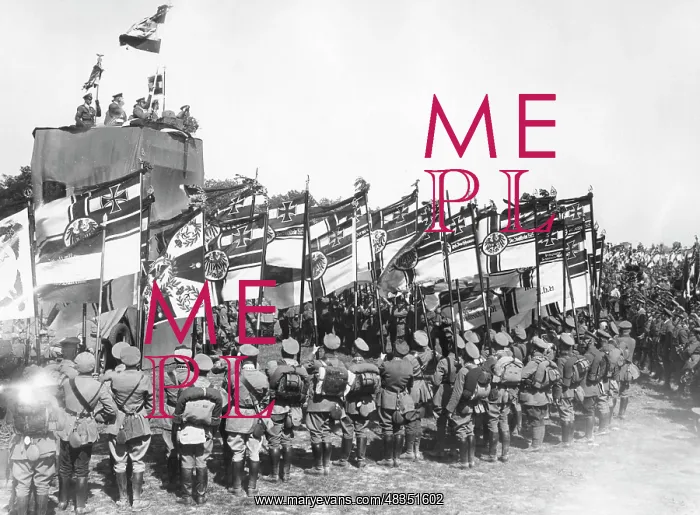  : Stahlhelm day in Breslau, 1931