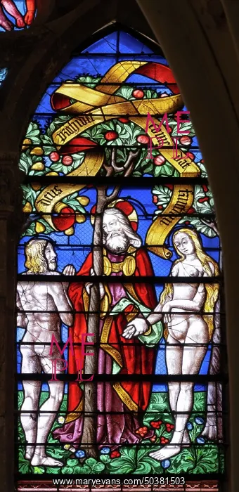 : Stained glass, Cathedrale Saint-Etienne, Chalons-en-Champagne, France : Stained glass, Cathedrale Saint-Etienne, Chalons-en-Champagne, France