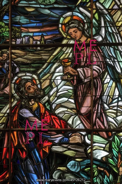 : Stained glass window, Catedral Nuestra Senora : Stained glass window, Catedral Nuestra Senora