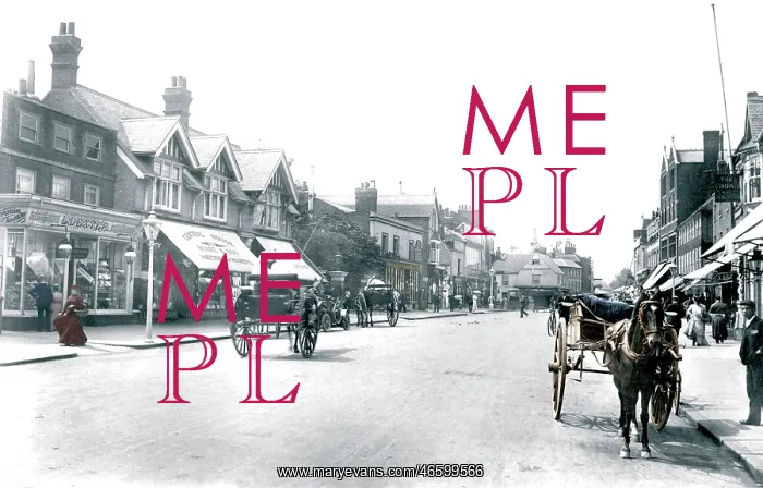  : Staines, High Street 1907