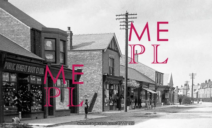  : Stainforth Station Road early 1900s