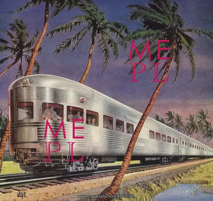 : Stainless Steel Train : Stainless Steel Train