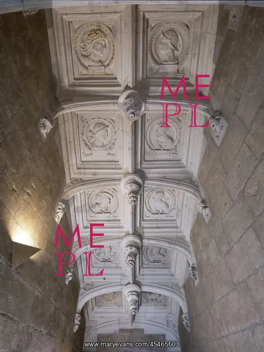 : Staircase ceiling, Chateau d'Azay-le-Rideau : Staircase ceiling, Chateau d'Azay-le-Rideau