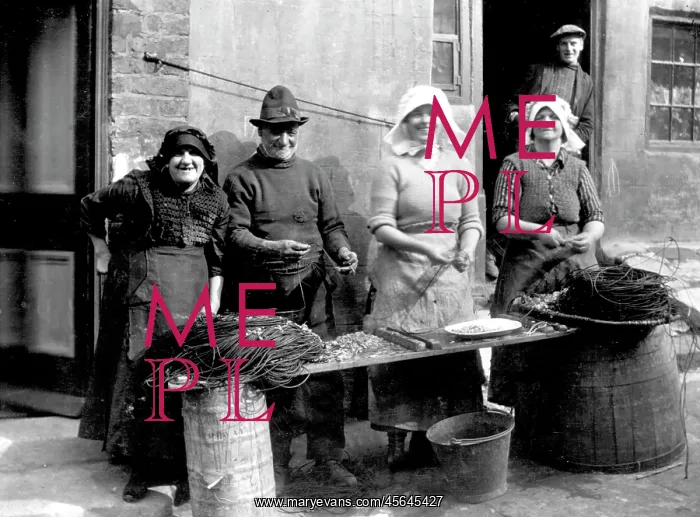 : Staithes, Baiting the lines c1900