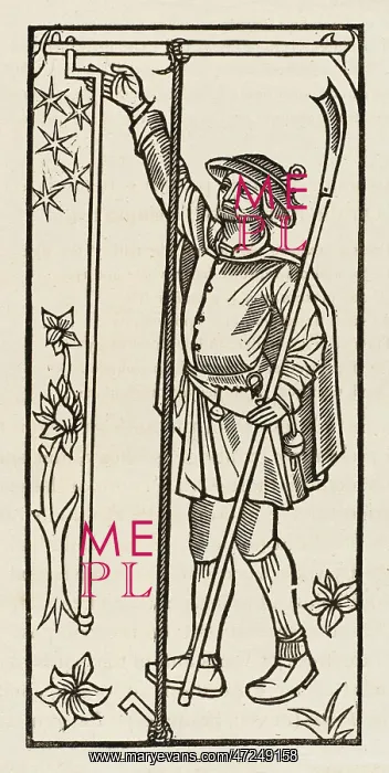 : STAKING PLANTS, C15 : STAKING PLANTS, C15