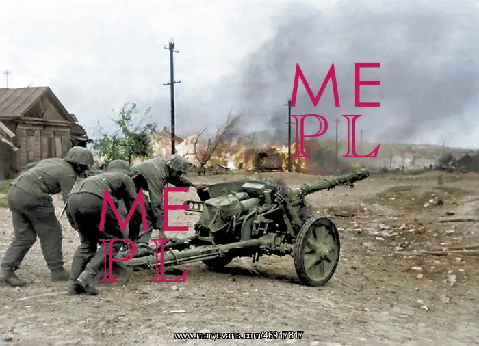 : Stalingrad in Colour : Stalingrad in Colour