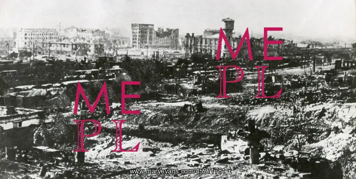  : Stalingrad after the first months of the German