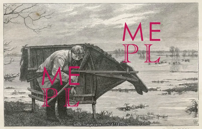 : STALKING HORSE : STALKING HORSE