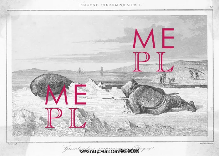  : STALKING A SEAL