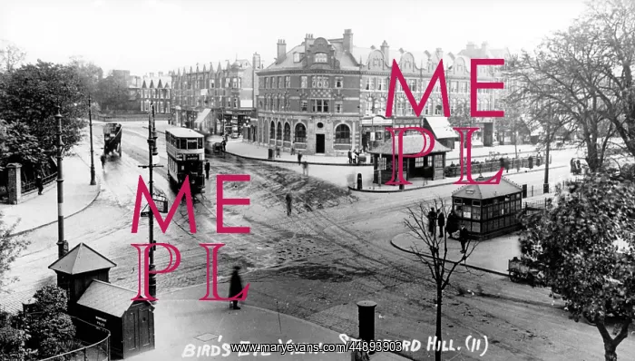  : STAMFORD HILL