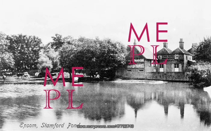  : Stamford Pond, Epsom, Surrey
